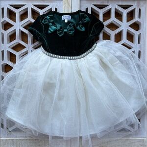 Blueberi Boulevard Emerald Velvet & Ivory Tulle Party Dress
